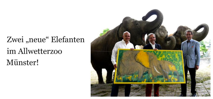 Zwei neue Elefanten im Allwetterzoo Münster